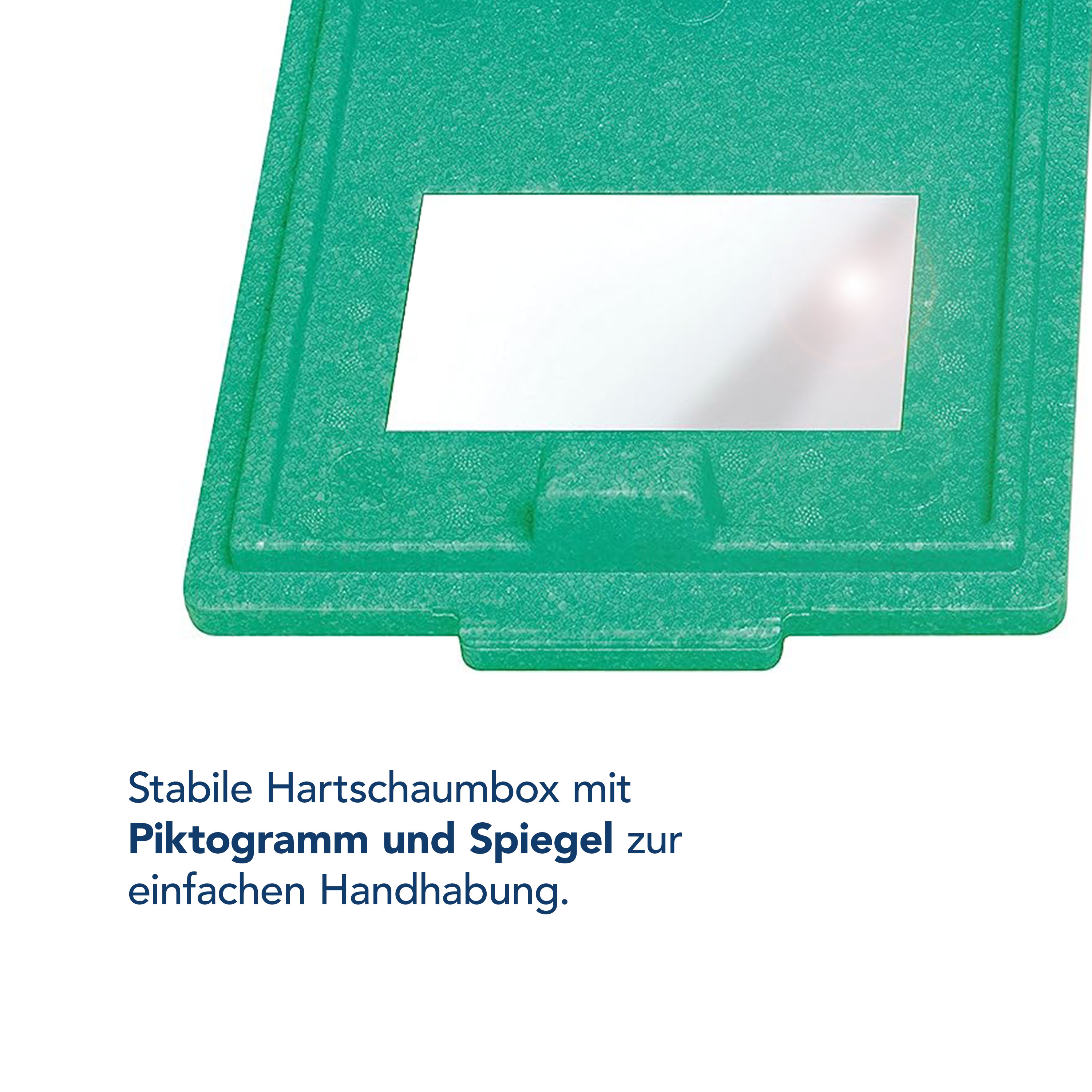 Augenspülstation in Wandbox inkl. Augenspüllösungen